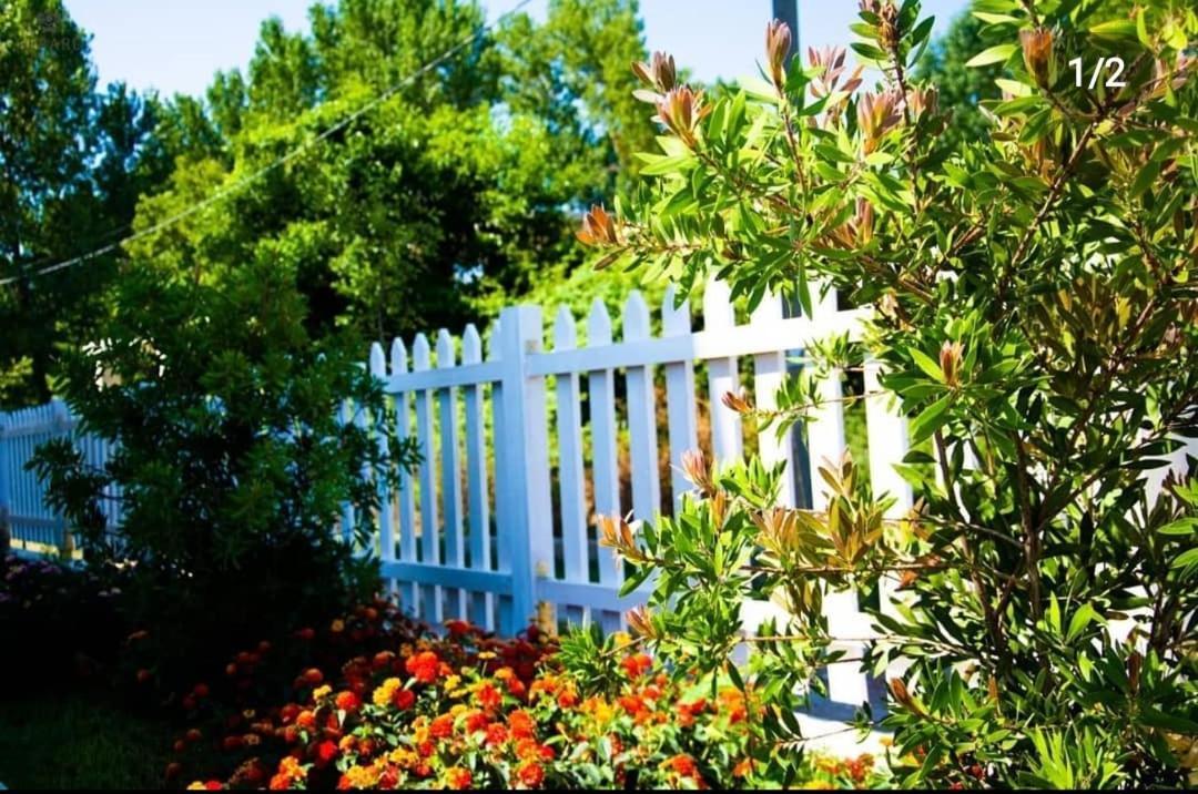 Apartments Alavana Velipojë المظهر الخارجي الصورة